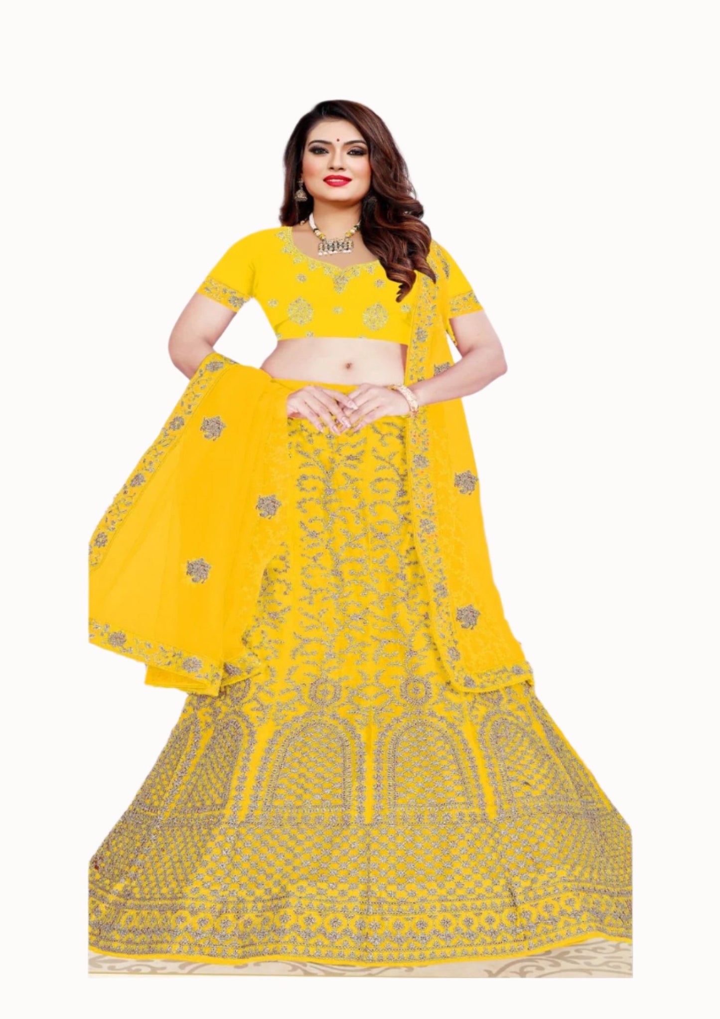 Ladies Net Lehenga – A Dreamy Blend of Elegance and Modern Charm